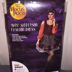 Mary Sanderson (Hocus Pocus) Costume